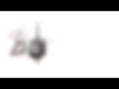 리드 스크루 / 설명서 견과류와고 정밀도 20 밀리미터 NEMA 8 스텝 모터