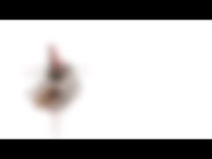 10 밀리미터 극소 스텝 모터 5VDC 10BY25 PM 작은 스테핑 모터