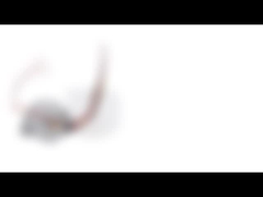 저소음 고토크 스텝 모터 SM35-048L 35 밀리미터 12v 2는 단계적으로 시행합니다